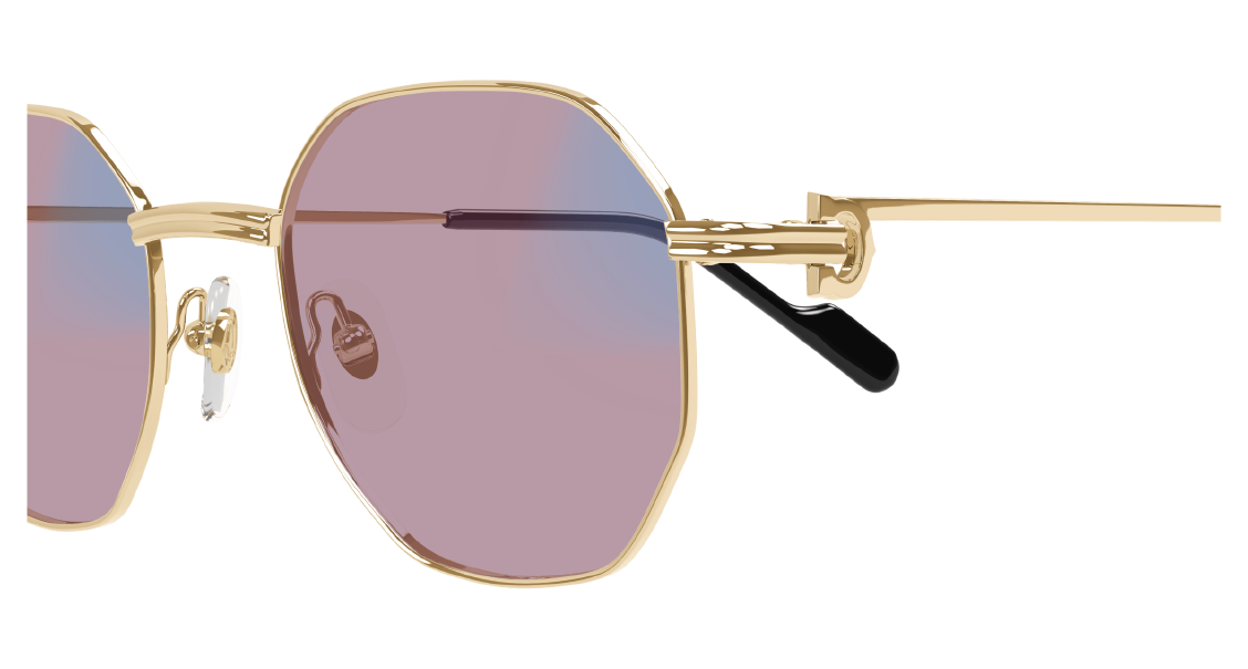 Cartier CT 0500S 005