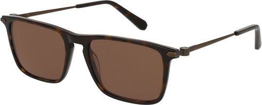 Brioni BR 0016S-003 53