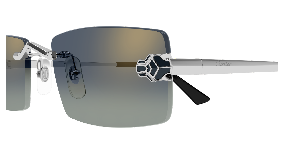 Cartier CT0598S 003