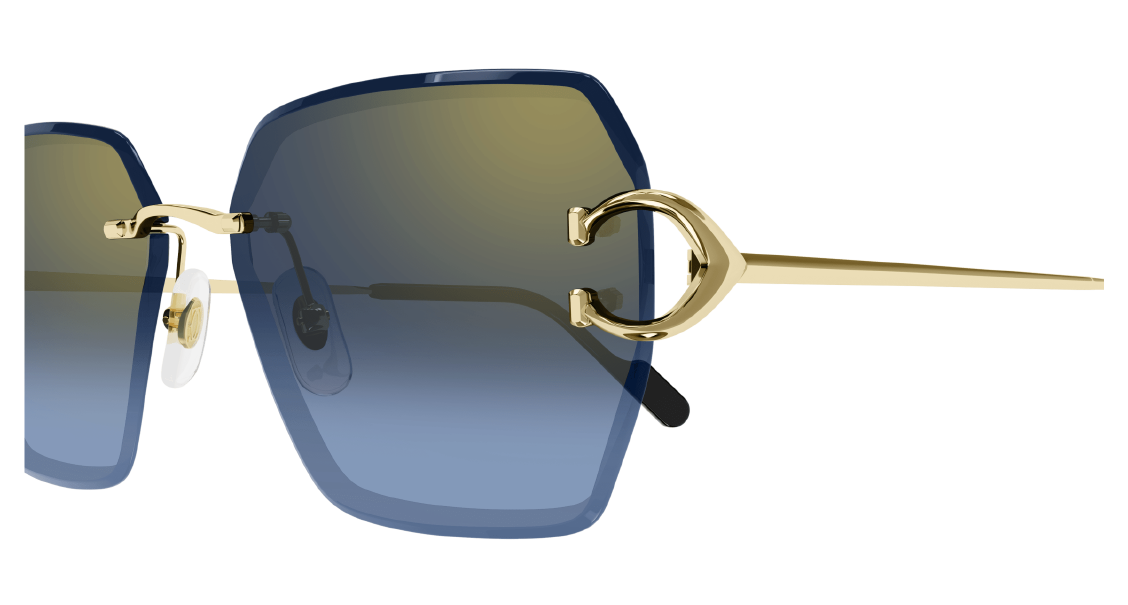 Cartier CT 0466S 002