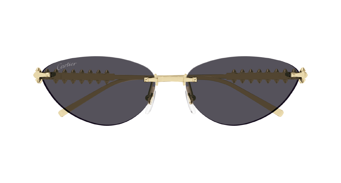 Cartier CT 0543S 003