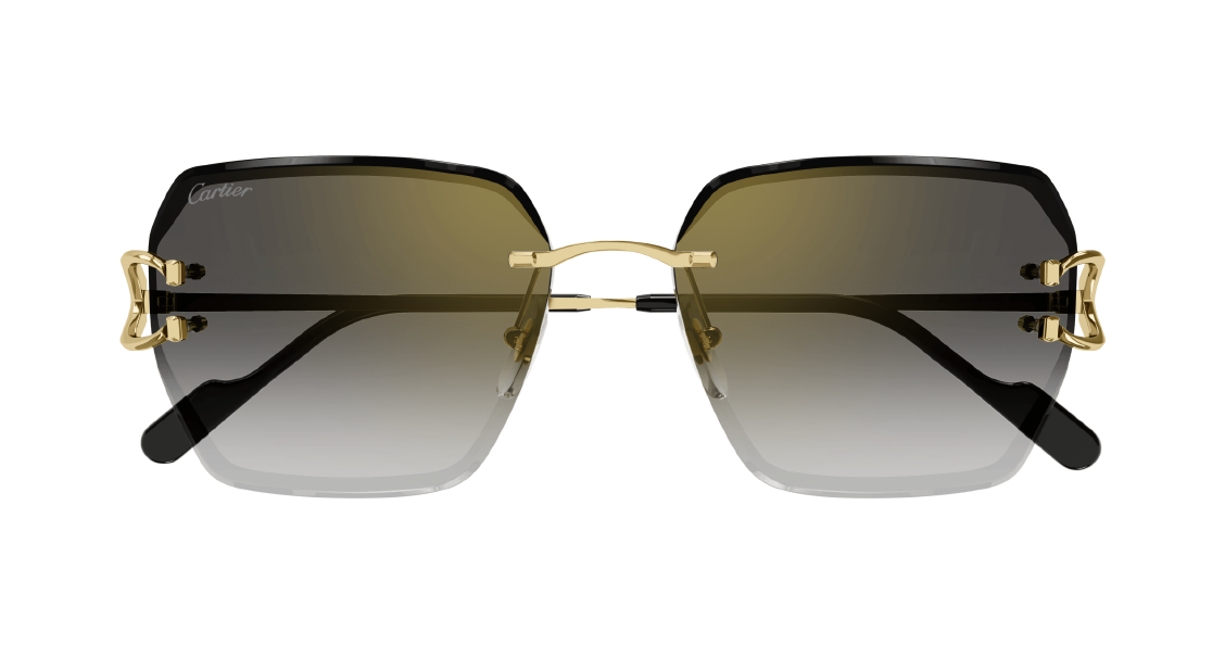 Cartier CT 0466S 001