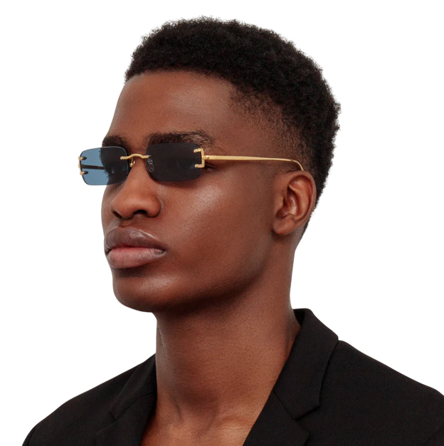 Linda Farrow LFL-1131A C14