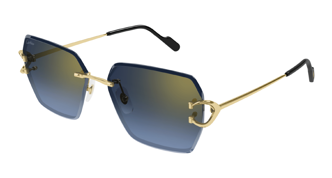 Cartier CT 0466S 002