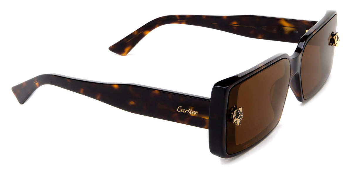 Cartier CT0358S-002 64