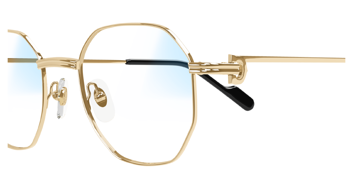 Cartier CT 0500S 005