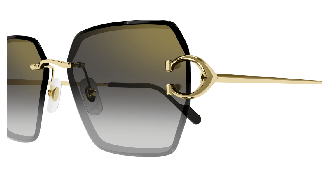 Cartier CT 0466S 001