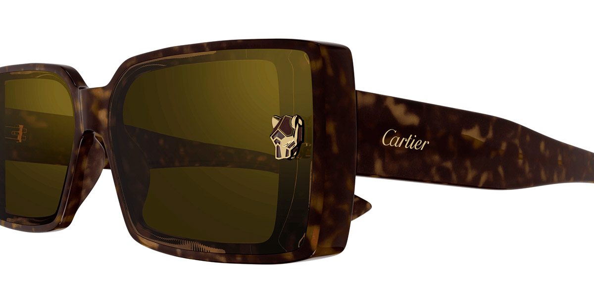 Cartier CT0358S-002 64