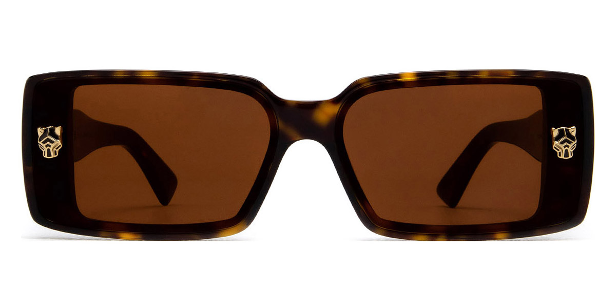 Cartier CT0358S-002 64