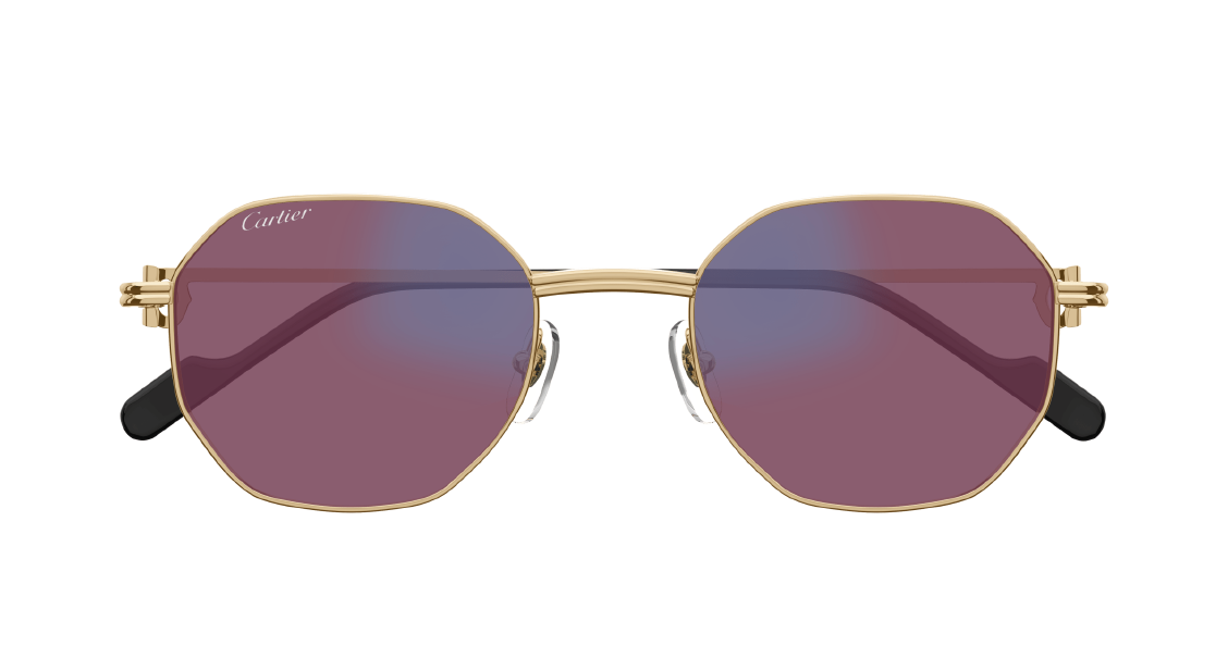 Cartier CT 0500S 005