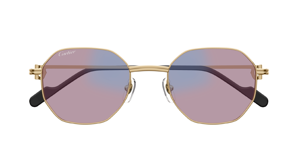 Cartier CT 0500S 005