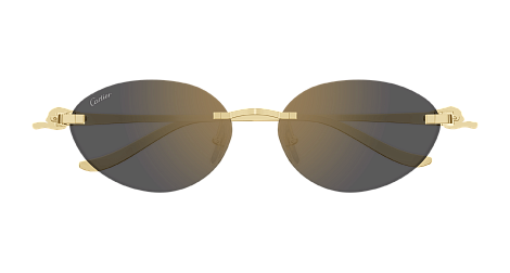 Солнцезащитные очки Cartier CT0504S-001