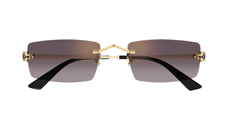 Солнцезащитные очки Cartier CT0598S 005