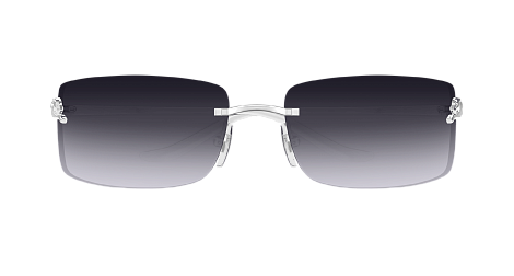 Солнцезащитные очки Cartier CT0503S-002